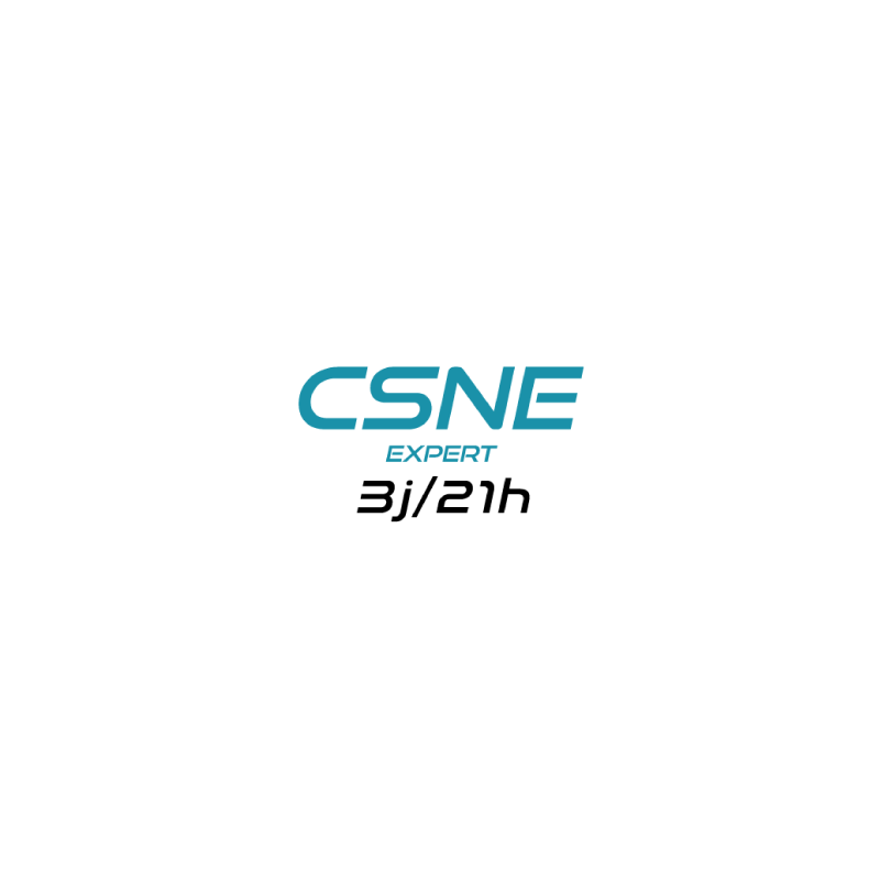Formation individuelle Stormshield Network Security Expert (CSNE)