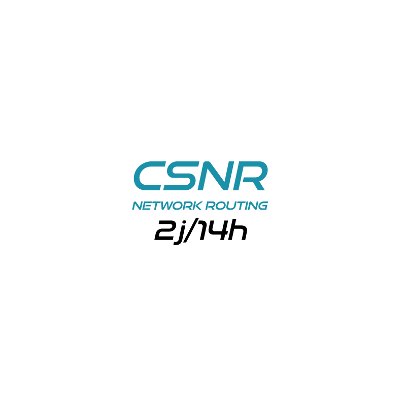 Formation Individuelle Stormshield Network Routing (CSNR)